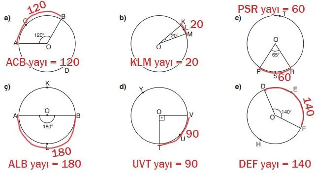 7. Sınıf Matematik Ders Kitabı Sayfa 250 Cevapları EDAT Yayınları