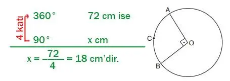 7. Sınıf Matematik Ders Kitabı Sayfa 256 Cevapları EDAT Yayınları