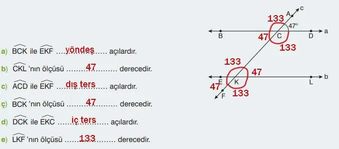 7. Sınıf Matematik Ders Kitabı Sayfa 265 Cevapları EDAT Yayınları