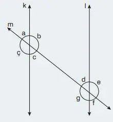 7. Sınıf Matematik Ders Kitabı Sayfa 265 Cevapları EDAT Yayınları