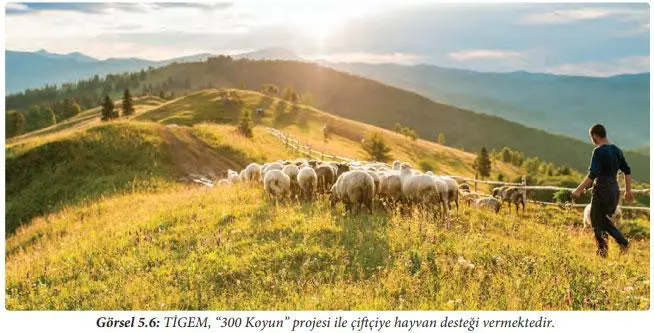 7. Sınıf Sosyal Bilgiler Ders Kitabı Sayfa 187 Cevapları Yıldırım Yayınları