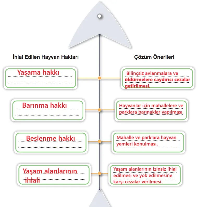 7.  Sınıf Türkçe Ders Kitabı Sayfa 235 Cevapları Özgün Yayınları