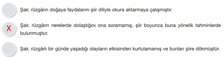 7.  Sınıf Türkçe Ders Kitabı Sayfa 246 Cevapları Özgün Yayınları2