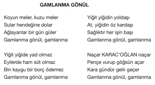 7. Sınıf Türkçe Ders Kitabı Sayfa 248-249-250. Cevapları Özgün Yayıncılık 7. Sınıf Türkçe Ders Kitabı Sayfa 250 Cevapları Özgün Yayınları