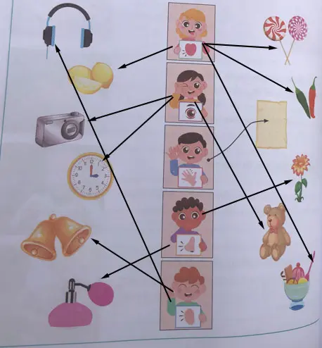 3. Sınıf Fen Bilimleri Ders Kitabı Sayfa 45-46-48-50-52-54. Cevapları CEM Yayıncılık 3. Sınıf Fen Bilimleri Ders Kitabı Sayfa 50 Cevapları CEM Yayıncılık