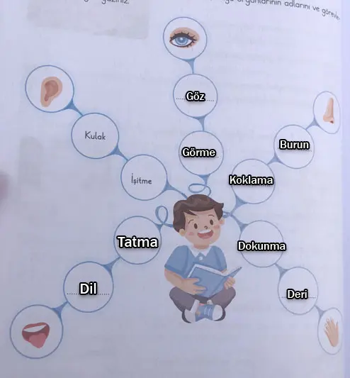 3. Sınıf Fen Bilimleri Ders Kitabı Sayfa 45-46-48-50-52-54. Cevapları CEM Yayıncılık 3. Sınıf Fen Bilimleri Ders Kitabı Sayfa 54 Cevapları CEM Yayıncılık