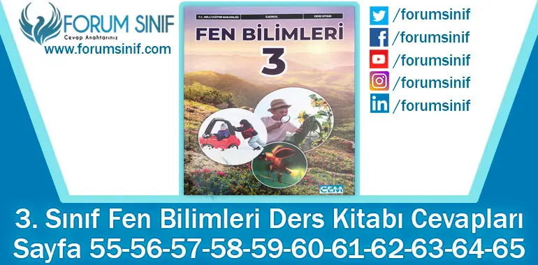 3. Sınıf Fen Bilimleri Ders Kitabı Sayfa 55-56-57-58-59-60-61-62-63-64-65. Cevapları CEM Yayıncılık