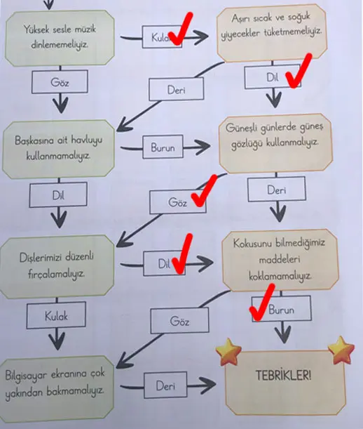 3. Sınıf Fen Bilimleri Ders Kitabı Sayfa 57 Cevapları CEM Yayıncılık