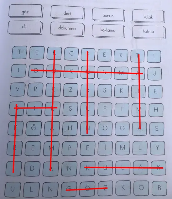3. Sınıf Fen Bilimleri Ders Kitabı Sayfa 61 Cevapları CEM Yayıncılık
