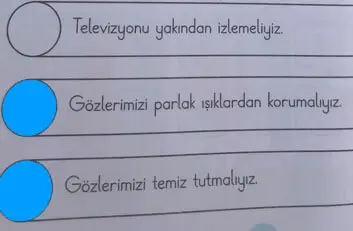 3. Sınıf Fen Bilimleri Ders Kitabı Sayfa 62 Cevapları CEM Yayıncılık