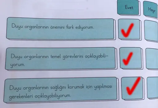 3. Sınıf Fen Bilimleri Ders Kitabı Sayfa 64 Cevapları CEM Yayıncılık