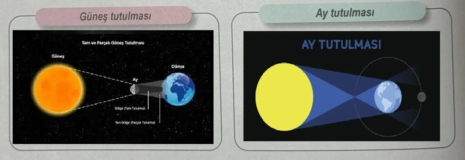 6. Sınıf Fen Bilimleri Ders Kitabı 30-31-32-33-34-35-37. Sayfa Cevapları 1. KİTAP 6. Sınıf Fen Bilimleri Ders Kitabı Sayfa 30 Cevapları MEB Yayınları