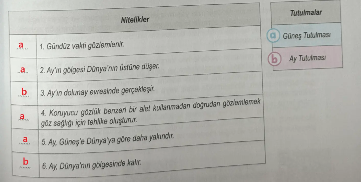 6. Sınıf Fen Bilimleri Ders Kitabı 30-31-32-33-34-35-37. Sayfa Cevapları 1. KİTAP 6. Sınıf Fen Bilimleri Ders Kitabı Sayfa 35 Cevapları MEB Yayınları