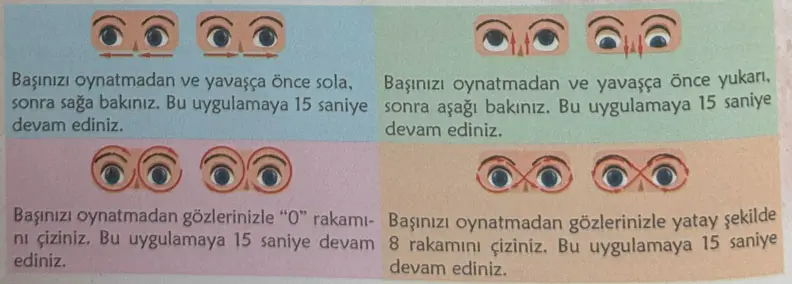 6. Sınıf Türkçe Ders Kitabı Sayfa 16 Cevapları MEB Yayınları