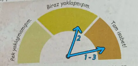 6. Sınıf Türkçe Ders Kitabı Sayfa 16 Cevapları MEB Yayınları