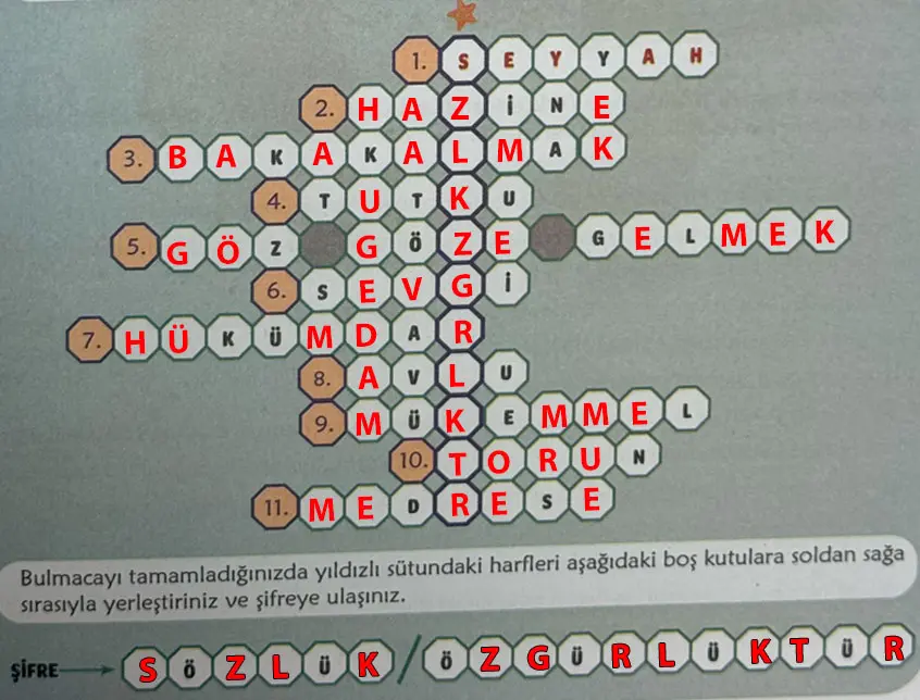 6. Sınıf Türkçe Ders Kitabı Sayfa 17 Cevapları MEB Yayınları