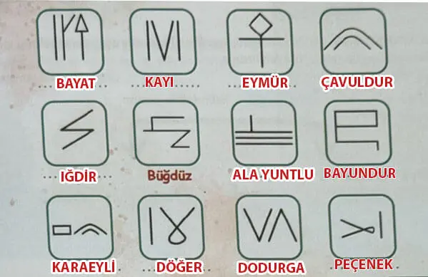 6. Sınıf Türkçe Ders Kitabı Sayfa 18-19 Cevapları MEB Yayınları