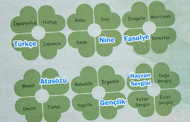 6. Sınıf Türkçe Ders Kitabı Sayfa 27 Cevapları MEB Yayınları