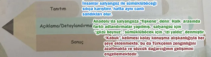 6. Sınıf Türkçe Ders Kitabı 30-31-32-33-35-37-38-39. Sayfa Cevapları 1. KİTAP 6. Sınıf Türkçe Ders Kitabı Sayfa 37-38 Cevapları MEB Yayınları
