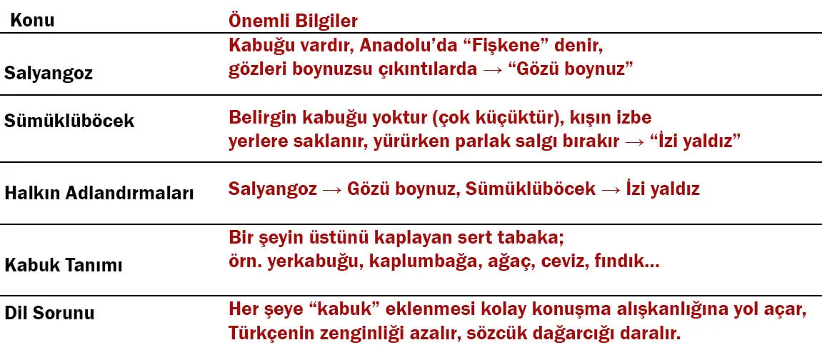 6. Sınıf Türkçe Ders Kitabı 30-31-32-33-35-37-38-39. Sayfa Cevapları 1. KİTAP 6. Sınıf Türkçe Ders Kitabı Sayfa 39 Cevapları MEB Yayınları