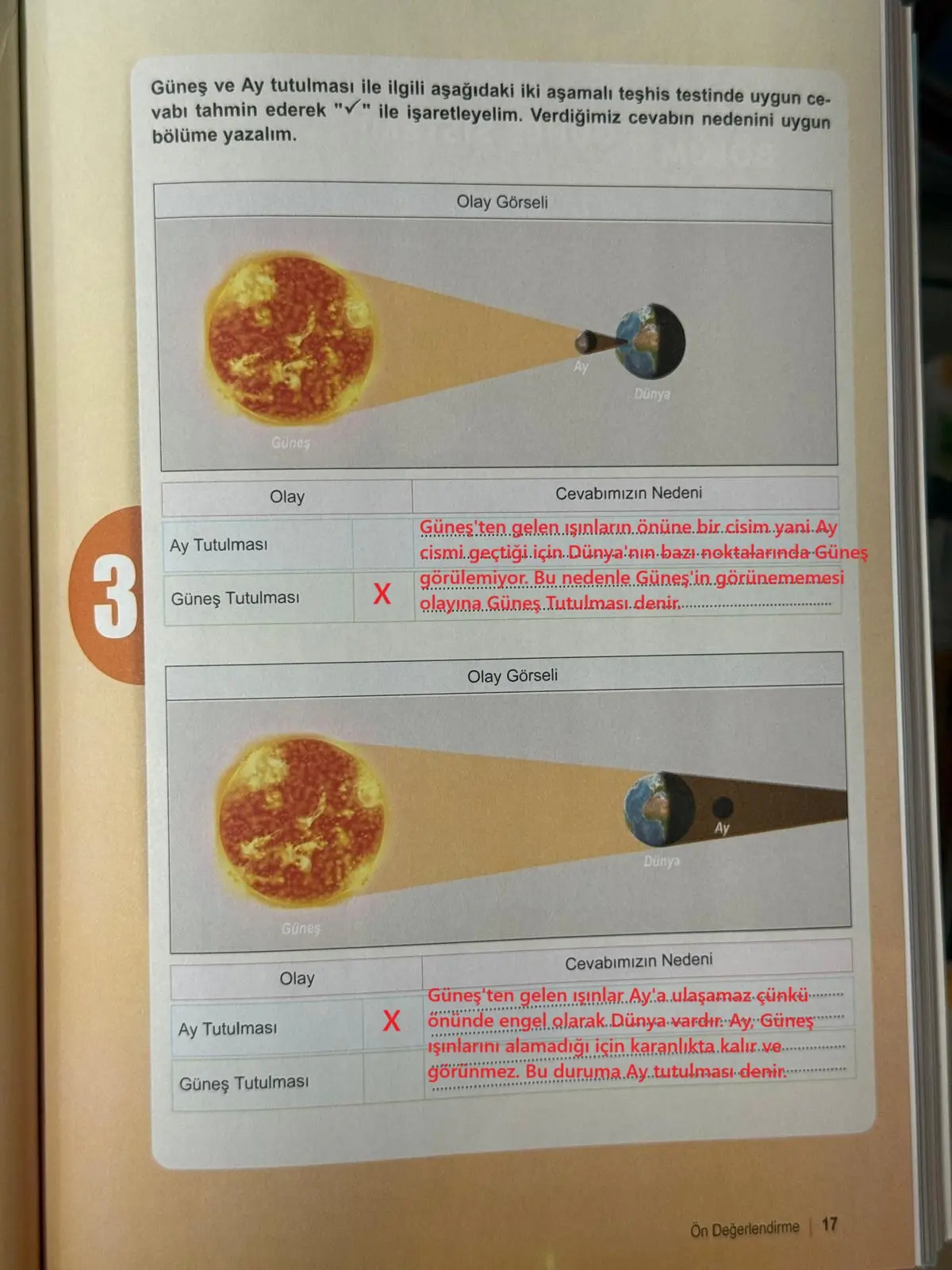 6. Sınıf Fen Bilimleri Ders Kitabı Sayfa 17 Cevapları MEB Yayınları