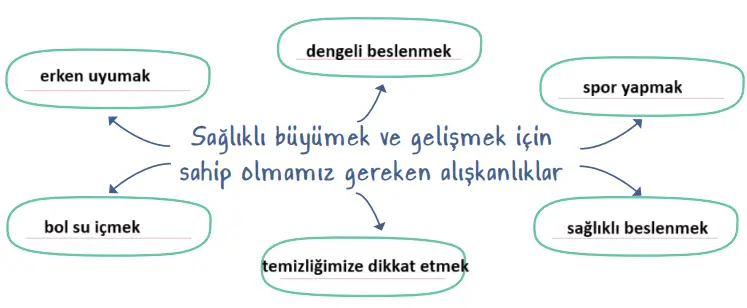 2. Sınıf Hayat Bilgisi Ders Kitabı Sayfa 48 Cevapları MEB Yayınları1