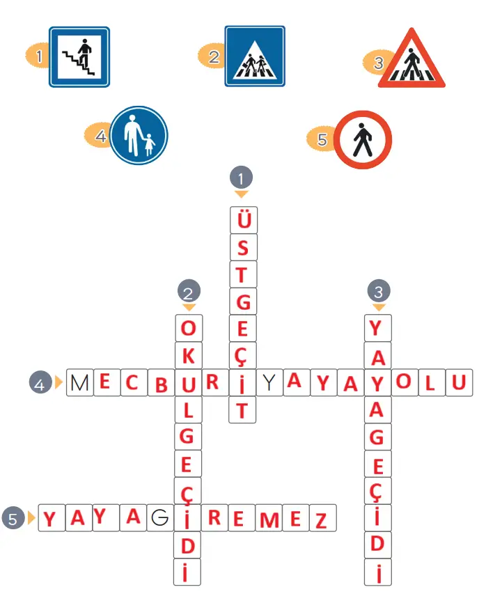 2. Sınıf Hayat Bilgisi Ders Kitabı Sayfa 67 Cevapları MEB Yayınları