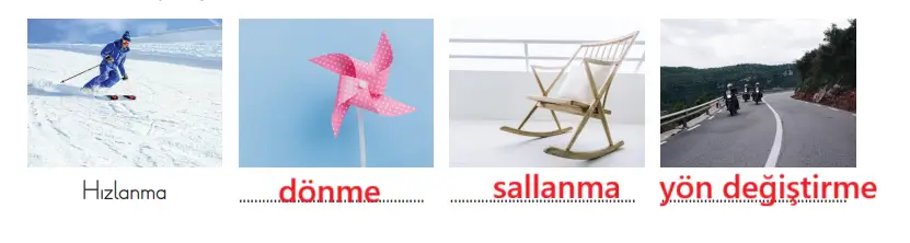 3. Sınıf Fen Bilimleri Ders Kitabı Sayfa 75 Cevapları CEM Yayıncılık