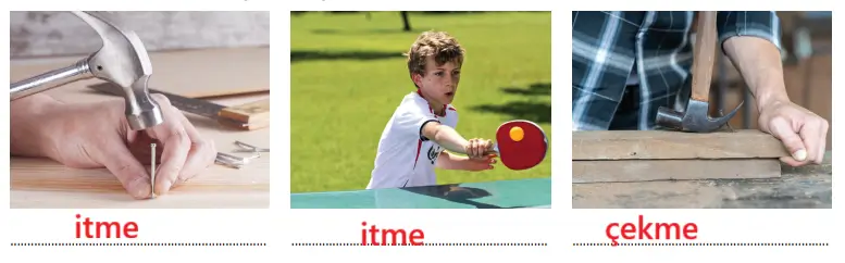 3. Sınıf Fen Bilimleri Ders Kitabı Sayfa 77-78-79-80-83-84-86-87-88 Cevapları CEM Yayıncılık 3. Sınıf Fen Bilimleri Ders Kitabı Sayfa 88 Cevapları CEM Yayıncılık