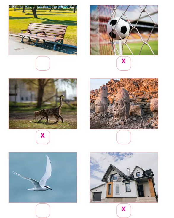 3. Sınıf Fen Bilimleri Ders Kitabı Sayfa 89-90-91-92-93-94-95-96-97-98-99-100-101 Cevapları CEM Yayıncılık 3. Sınıf Fen Bilimleri Ders Kitabı Sayfa 89 Cevapları CEM Yayıncılık
