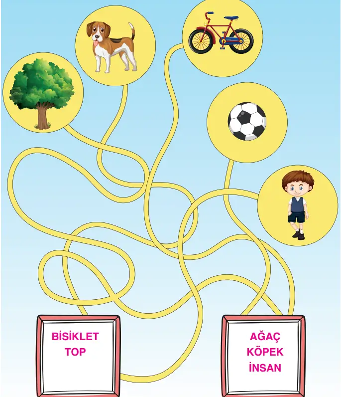 3. Sınıf Fen Bilimleri Ders Kitabı Sayfa 89-90-91-92-93-94-95-96-97-98-99-100-101 Cevapları CEM Yayıncılık 3. Sınıf Fen Bilimleri Ders Kitabı Sayfa 91 Cevapları CEM Yayıncılık