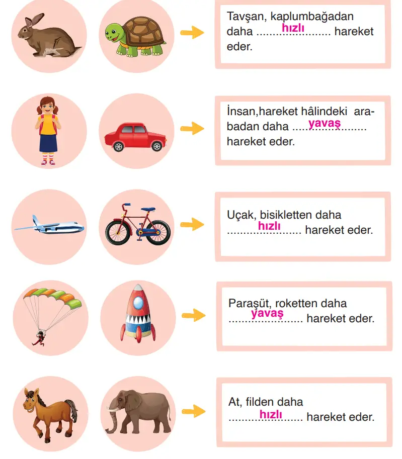 3. Sınıf Fen Bilimleri Ders Kitabı Sayfa 89-90-91-92-93-94-95-96-97-98-99-100-101 Cevapları CEM Yayıncılık 3. Sınıf Fen Bilimleri Ders Kitabı Sayfa 96 Cevapları CEM Yayıncılık