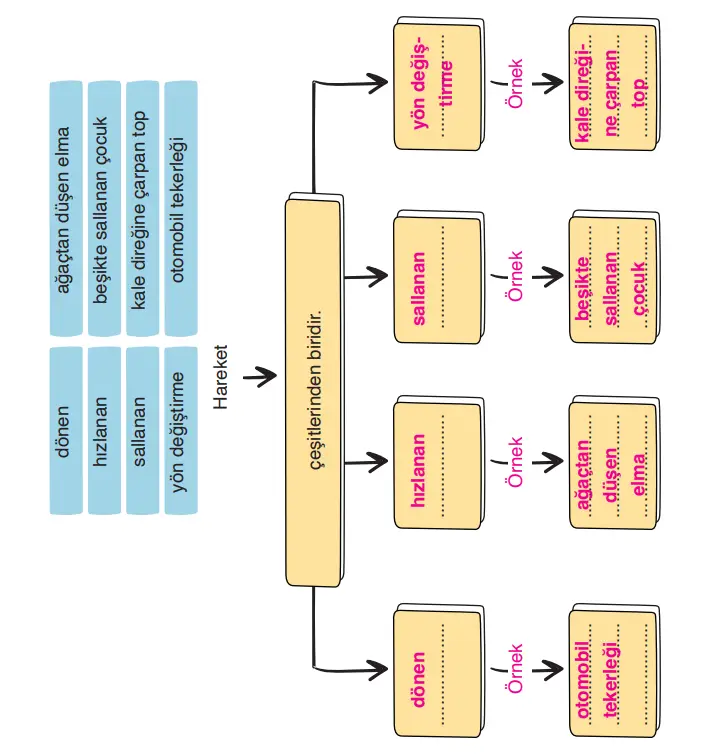 3. Sınıf Fen Bilimleri Ders Kitabı Sayfa 89-90-91-92-93-94-95-96-97-98-99-100-101 Cevapları CEM Yayıncılık 3. Sınıf Fen Bilimleri Ders Kitabı Sayfa 97 Cevapları CEM Yayıncılık