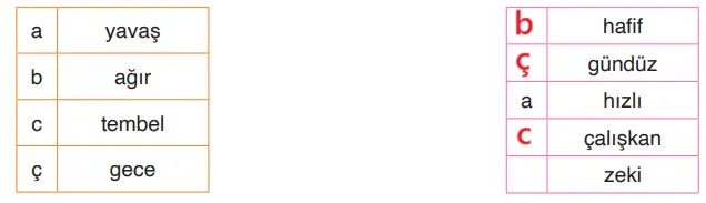 4. Sınıf Türkçe Ders Kitabı Sayfa 16 Cevapları ADA Yayıncılık