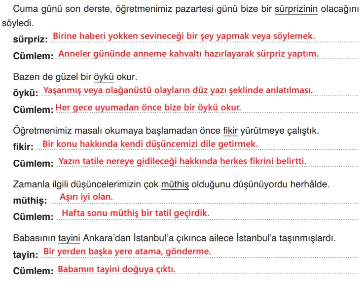 4. Sınıf Türkçe Ders Kitabı Sayfa 22 Cevapları ADA Yayıncılık