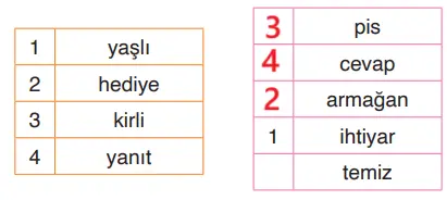4. Sınıf Türkçe Ders Kitabı Sayfa 24 Cevapları ADA Yayıncılık