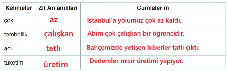 4. Sınıf Türkçe Ders Kitabı Sayfa 42 Cevapları ADA Yayıncılık