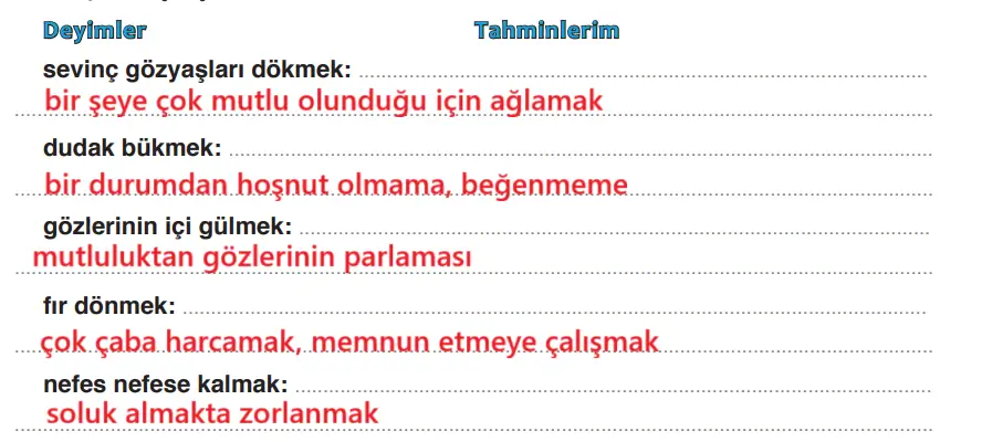 4. Sınıf Türkçe Ders Kitabı Sayfa 85 Cevapları ADA Yayıncılık