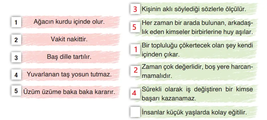 4. Sınıf Türkçe Ders Kitabı Sayfa 85 Cevapları ADA Yayıncılık