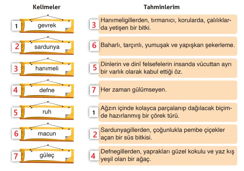 4. Sınıf Türkçe Ders Kitabı Sayfa 95 Cevapları ADA Yayıncılık