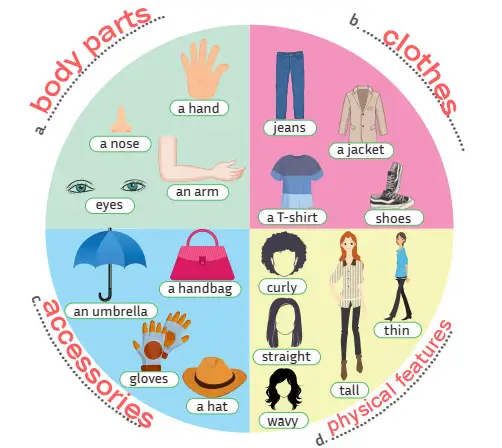 5. Sınıf İngilizce Ders Kitabı 56-58-59-60-61-62. Sayfa Cevapları MEB Yayınları 5. Sınıf İngilizce Ders Kitabı Sayfa 58 Cevapları MEB Yayınları