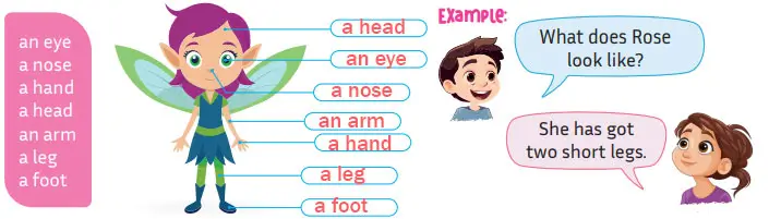 5. Sınıf İngilizce Ders Kitabı 56-58-59-60-61-62. Sayfa Cevapları MEB Yayınları 5. Sınıf İngilizce Ders Kitabı Sayfa 60 Cevapları MEB Yayınları