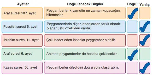 6. Sınıf Din Kültürü Ders Kitabı Sayfa 17 Cevapları MEB Yayınları