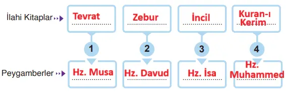 6. Sınıf Din Kültürü Ders Kitabı Sayfa 30 Cevapları MEB Yayınları