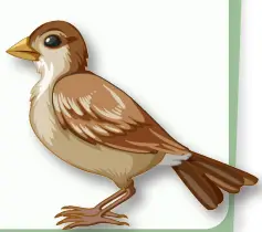 6. Sınıf Fen Bilimleri Ders Kitabı Sayfa 100 Cevapları MEB Yayınları