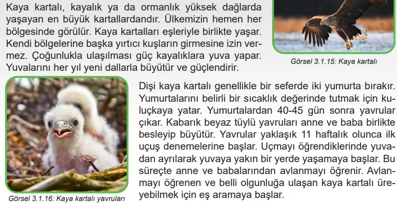 6. Sınıf Fen Bilimleri Ders Kitabı Sayfa 102 Cevapları MEB Yayınları