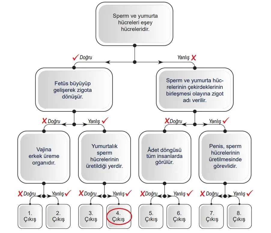 6. Sınıf Fen Bilimleri Ders Kitabı 103-105-106-107. Sayfa Cevapları 1. KİTAP 6. Sınıf Fen Bilimleri Ders Kitabı Sayfa 106 Cevapları MEB Yayınları