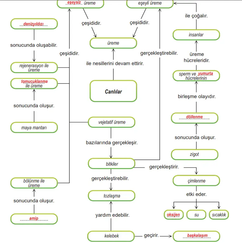6. Sınıf Fen Bilimleri Ders Kitabı 103-105-106-107. Sayfa Cevapları 1. KİTAP 6. Sınıf Fen Bilimleri Ders Kitabı Sayfa 107 Cevapları MEB Yayınları