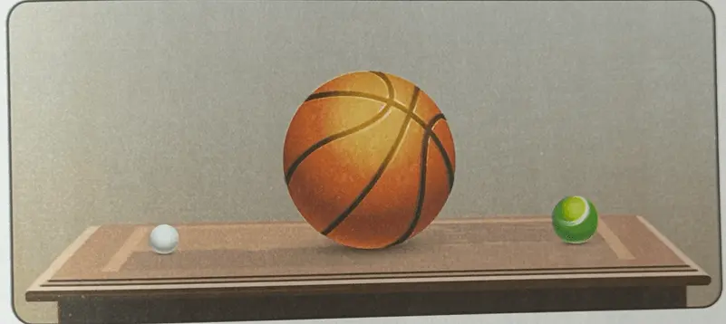 6. Sınıf Fen Bilimleri Ders Kitabı Sayfa 41 Cevapları MEB Yayınları