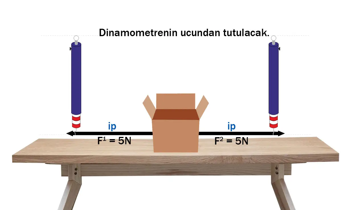 6. Sınıf Fen Bilimleri Ders Kitabı 52-53-55-56-58-59-60-61. Sayfa Cevapları 1. KİTAP 6. Sınıf Fen Bilimleri Ders Kitabı Sayfa 58-59 Cevapları MEB Yayınları